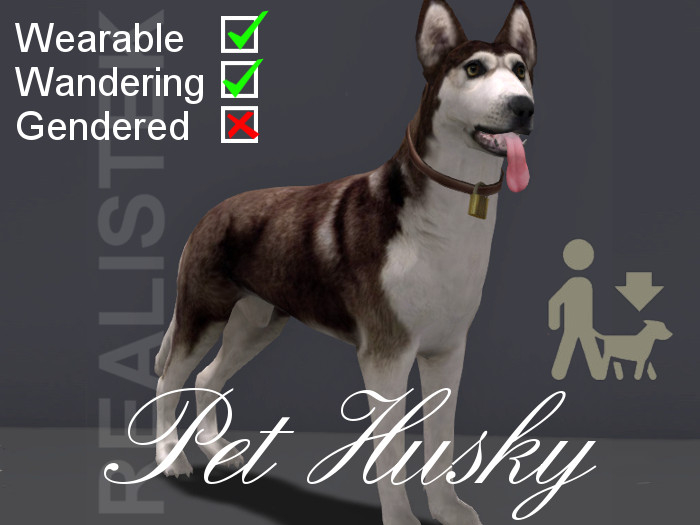 Pet Husky Brown WW-