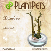 PlantPet Seed [Bamboo *Moulded*] - Common - Updated