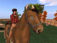 Horse Bridle  [B] (Compatibile with popular Horses)