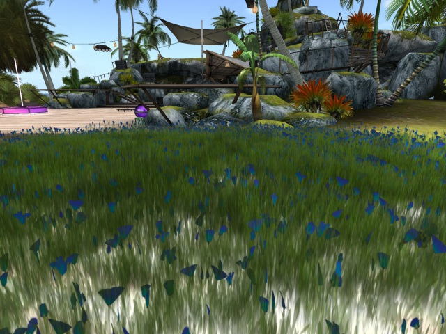  Grass Texture 