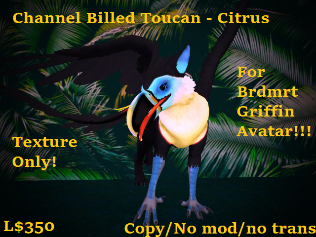 Grf Channel Billed Toucan - Citrus