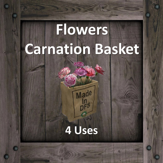 DFS Flowers - Carnation Basket (Texture)