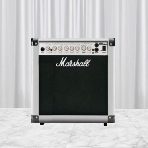 Marshall Speaker White Trim CMT