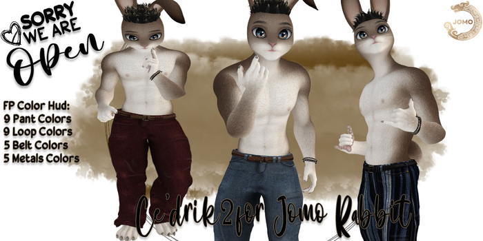 Second Life Marketplace - SWO Ce'drik 2 Jeans Fat Pack for Jomo Male ...