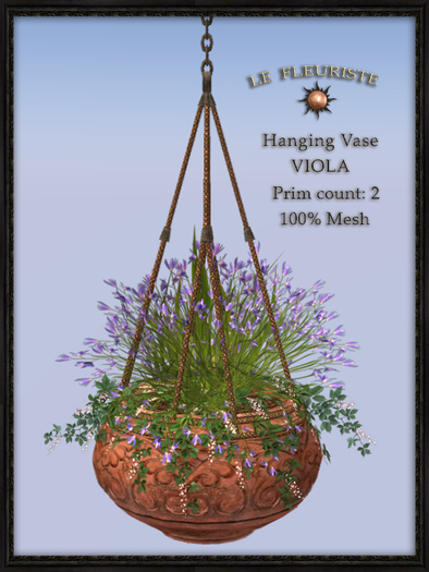 F*HangingVaseVIOLA