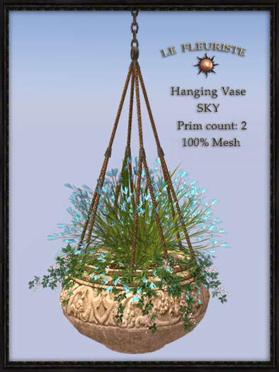 F*HangingVaseSKY