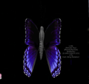 {Papillon} Fe/Mon/Nor/Fey/Butterfly/Dark Cocoon
