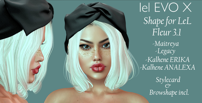 LISA-Shape for LeLUTKA Fleur 3.1