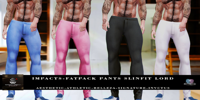 IMPACTS-PANTS SLIN FIT LORD AESTHETIC/SIGN/BELLEZA/INVI/LEGACY