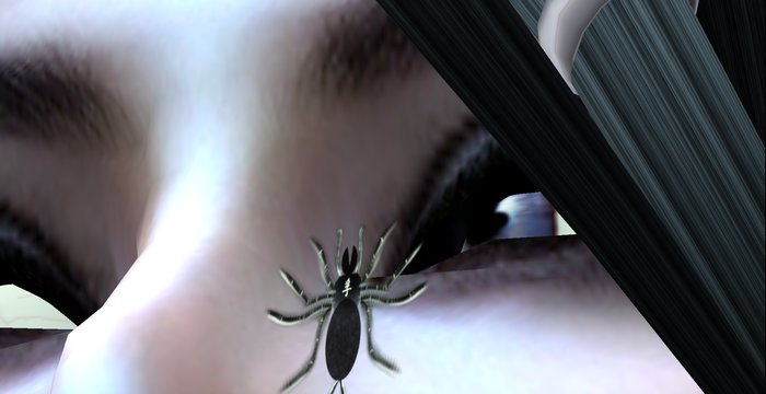 Spider below eye 