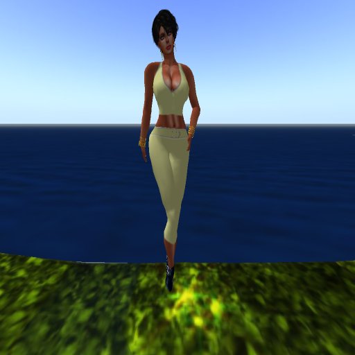 Capris / Cropped pants,  2 tops(Aloe)