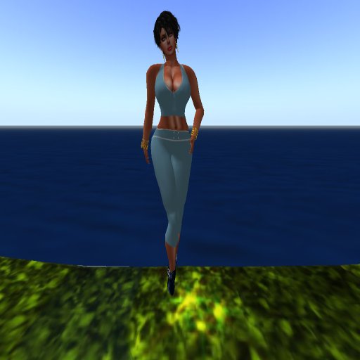 Capris, Cropped pants, 2 tops(Horizon)