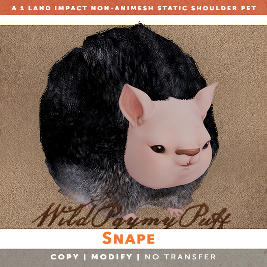 [The Emporium] Wild Pygmy Puff // Snape