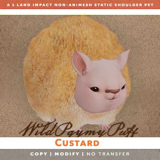 [The Emporium] Wild Pygmy Puff // Custard