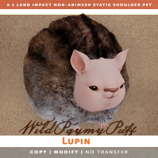 [The Emporium] Wild Pygmy Puff // Lupin
