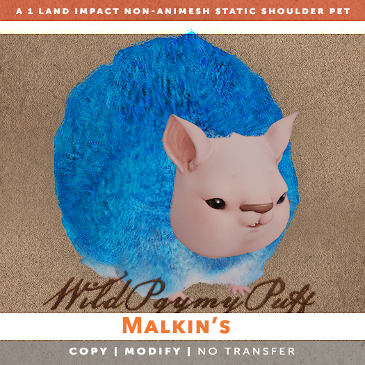 [The Emporium] Wild Pygmy Puff // Malkin's