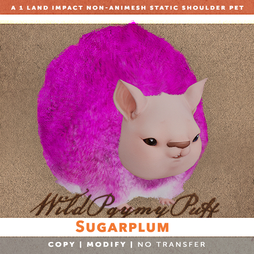 [The Emporium] Wild Pygmy Puff // Sugarplum