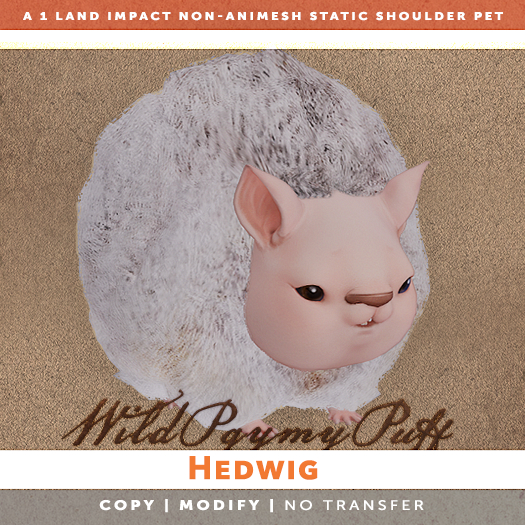 [The Emporium] Wild Pygmy Puff // Hedwig