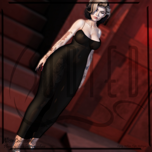 BODIED: Alicia Collection - BODIEDpack
