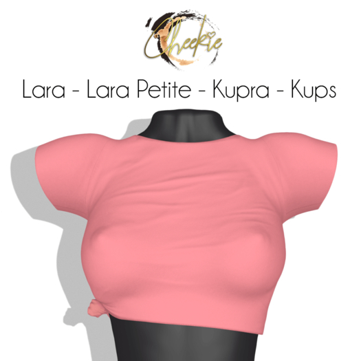 .:Cheekie:. Ginger Top Not Pink 