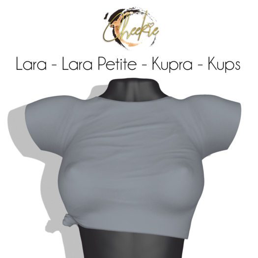 .:Cheekie:. Ginger Top Grey 