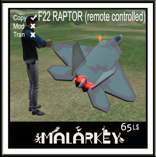 F22 Raptor Remote Controlled Model