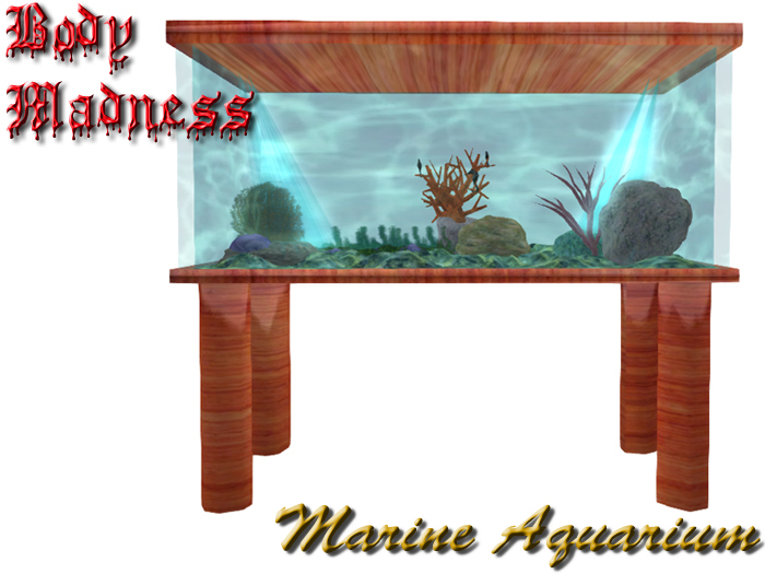 BM - Small Marine Aquarium