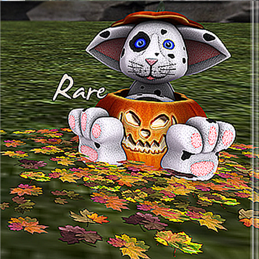 MOoH! Pumpkin cat White spots RARE