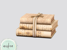 Ariskea[Denver] Lace Books