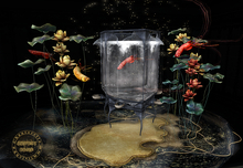 4{anc} // fish shop daughters/ SymbiosisFish[red]RezPET RARE