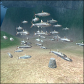 Herring Seeder v1.4