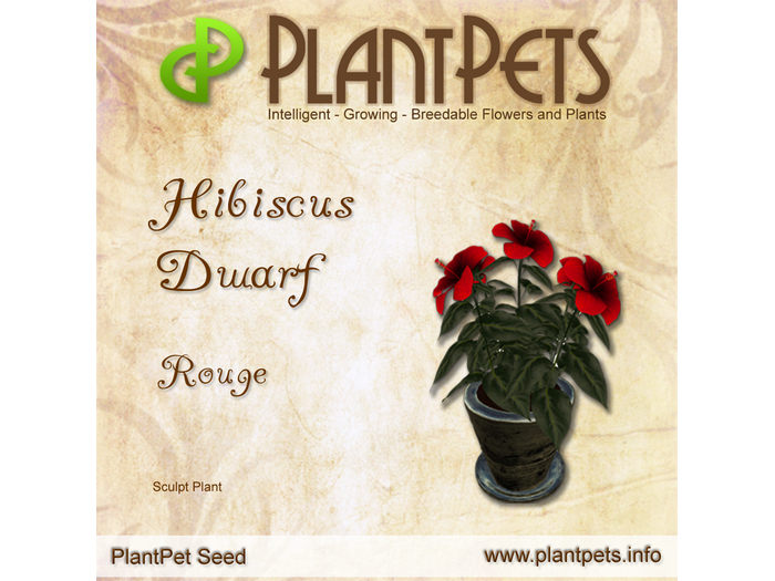 PlantPet Seed [Hibiscus Dwarf *Rouge*]common
