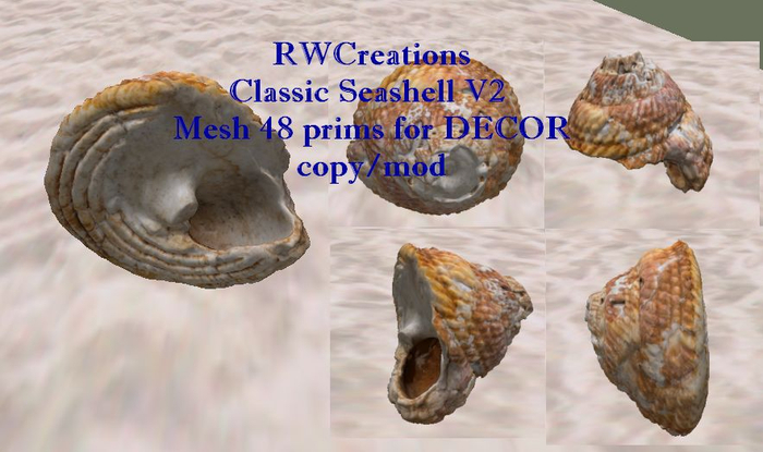 Classic Beach Seashell  Mesh 48 prims for DECOR (boxed)