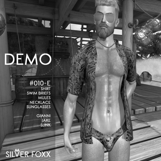 DEMO [SILVER FOXX] #010-E