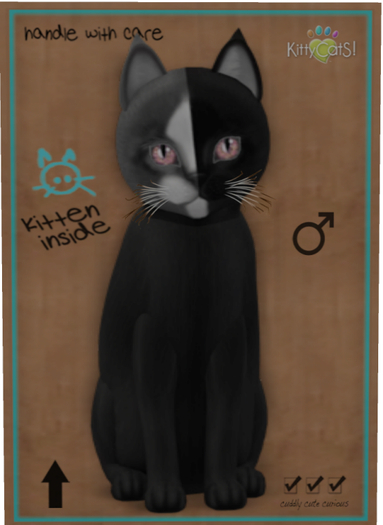 KittyCatS Box - Chimera - Black Grey