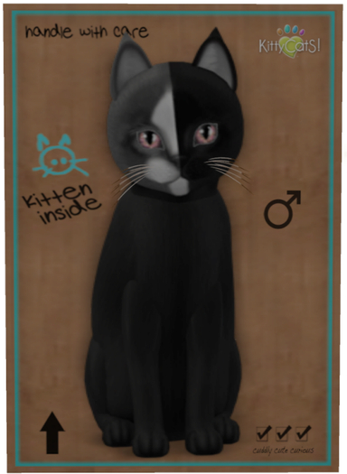 KittyCatS Box - Chimera - Black Grey