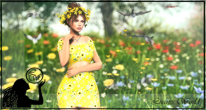 :LW: Bento Poses - Conscience