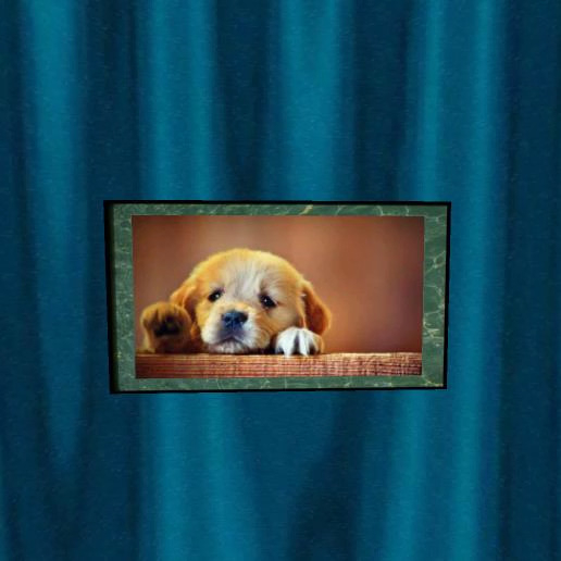 SAD PUPPY 1