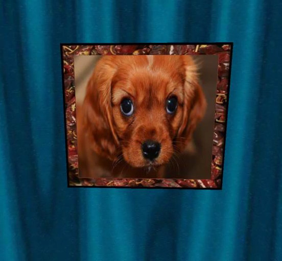 SAD PUPPY 2