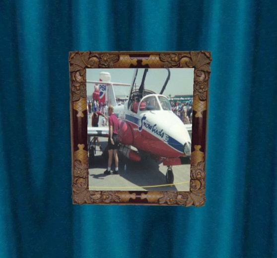 SNOWBIRDS CANADA