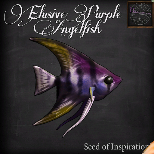 Second Life Marketplace - SOI *HEXtraordinary* Elusive Purple Angelfish