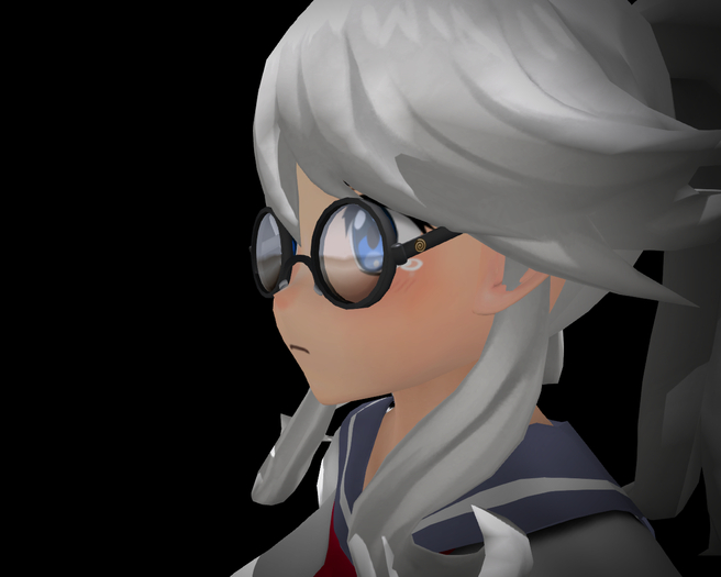 Customizable Glasses