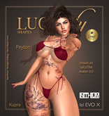 *PEYTON* Shape by LUCIDity (ADD)