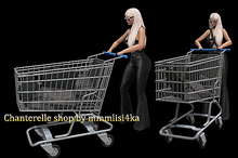 BackBone Shopping Carts - Stole Me Some Laptops