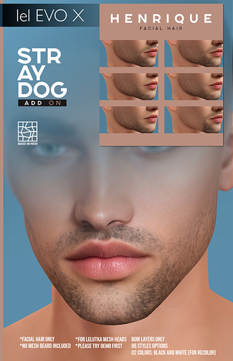 STRAY DOG ADD ON - HENRIQUE FACIAL HAIR - LELUTKA EVOX