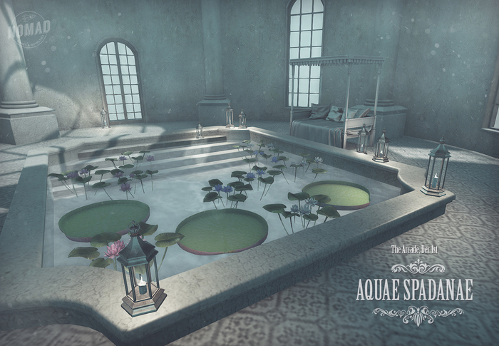 NOMAD // Lotus Blue A