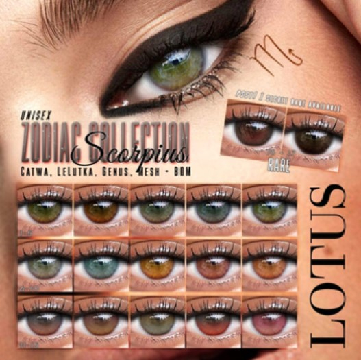 LOTUS. Scorpius Eyes 10 BOX