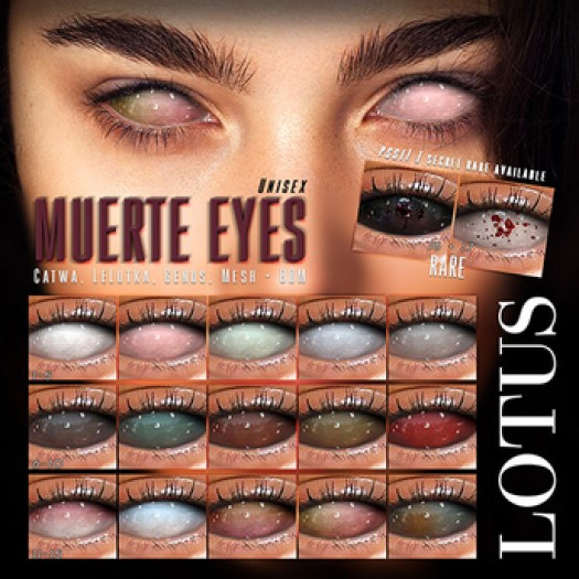 LOTUS. Muerte Eyes 05 BOX