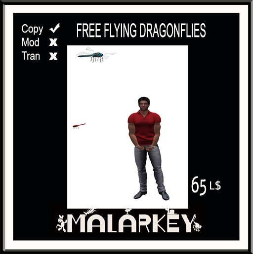 Dragonflies  -  free flying