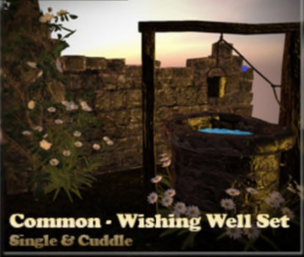 (BOX) Allure Ruins - Wishing Well Set